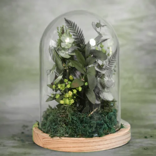 Cúpula Green Forest