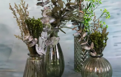 Botecitos Green Forest