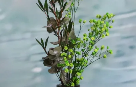 Recipiente Green Forest