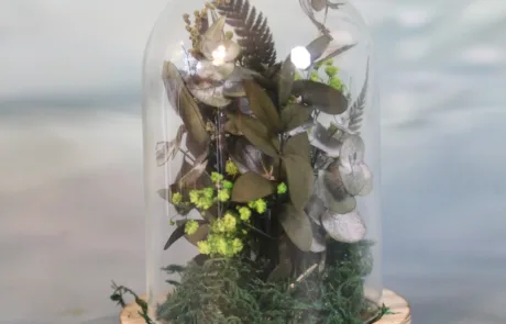 Expositor Green Forest