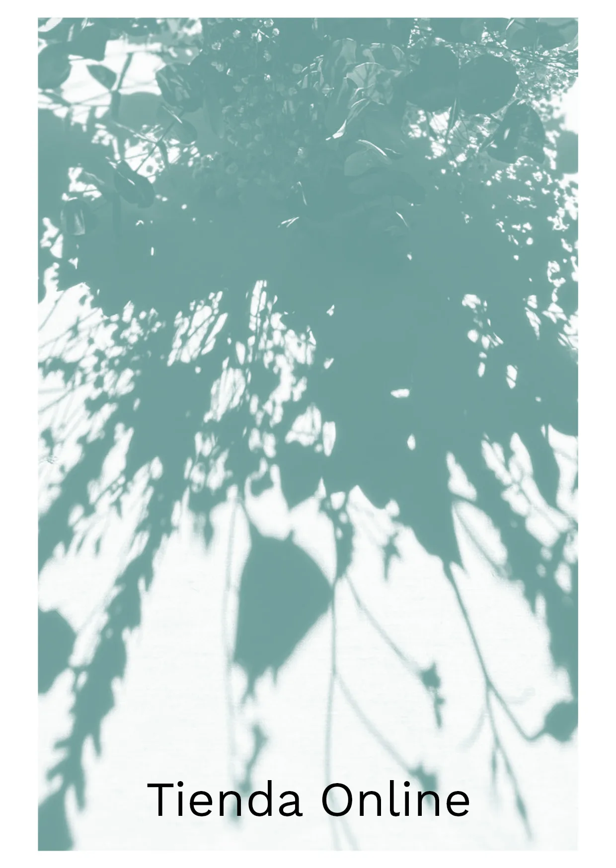 Visita La Tienda Online