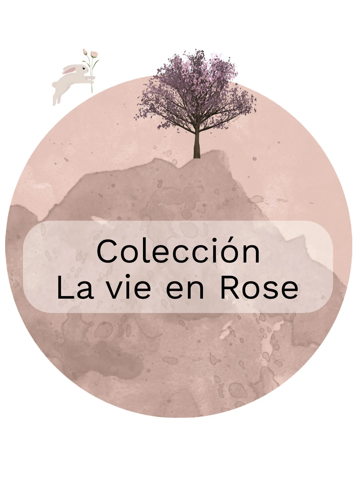 Visita La Colección LA vie en Rose