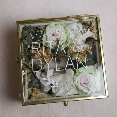 Porta Alianzas Temporal