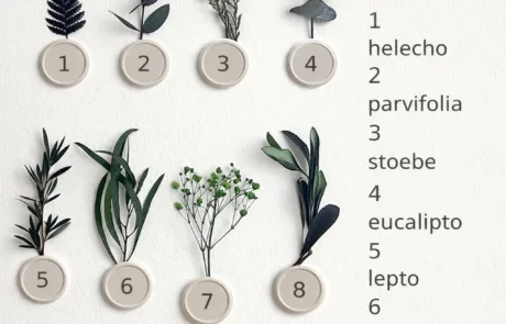 Invitación Catalogo Flores