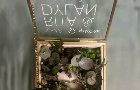 Porta Alianzas Green Forest abierto