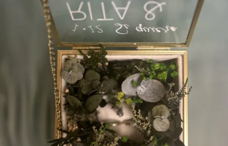 Porta Alianzas Green Forest