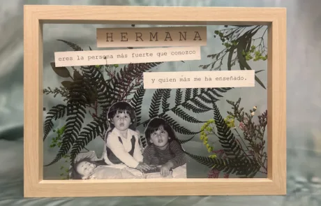 Collage Green Forest Vista De Frente