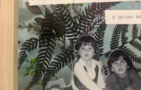 Collage Green Forest ampliada niños